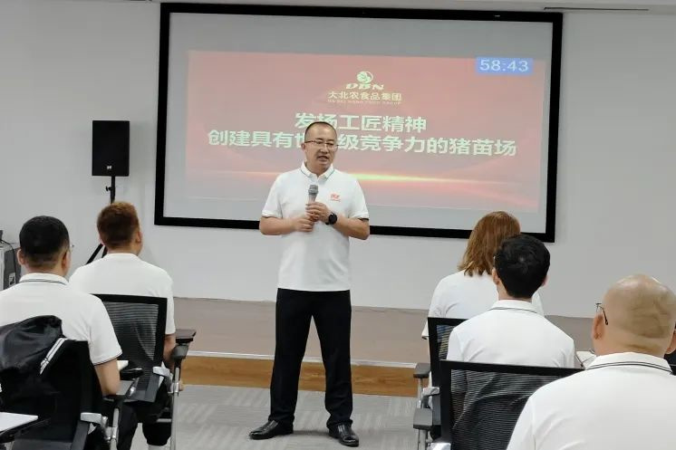 1756373935140485.jpg 4.jpg